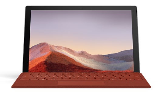 兰西清洁和维护 Surface